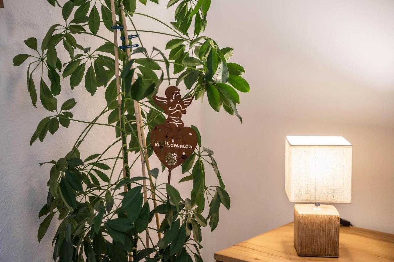 Ferienwohnung Gipfelblick 그라이나우 외부 사진